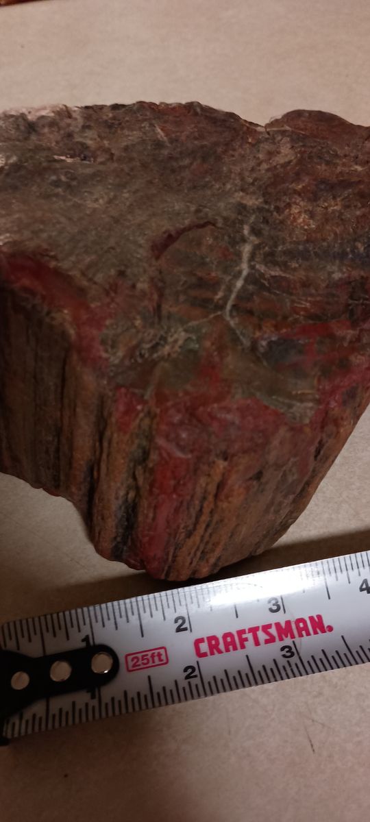 Main image 7