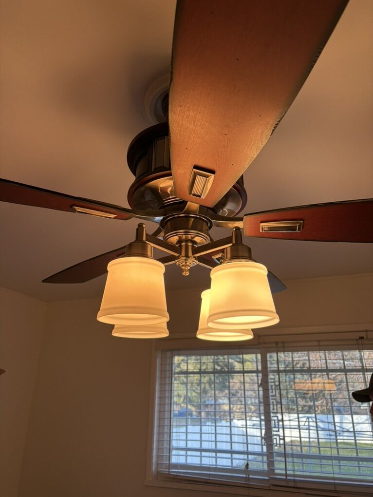 Ceiling Fan