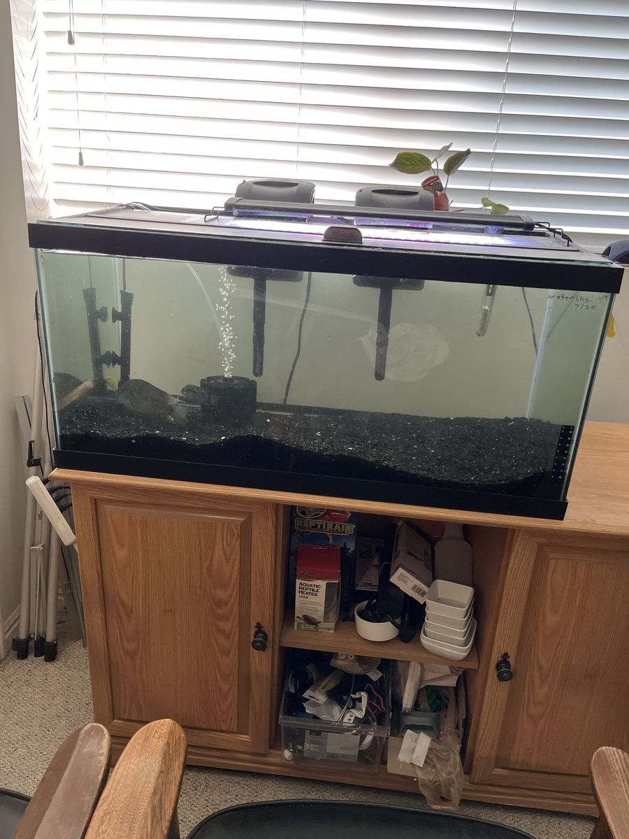 40 gal aquarium with glass top