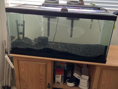 40 gal aquarium with glass top