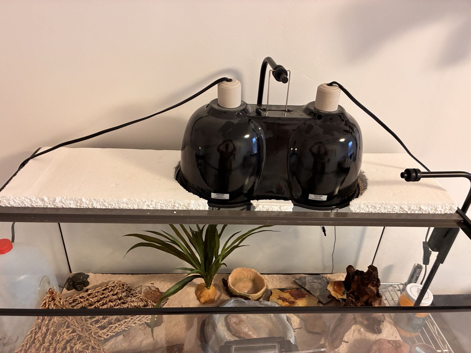 Complete reptile/Lizard tank And accessories – everything included!