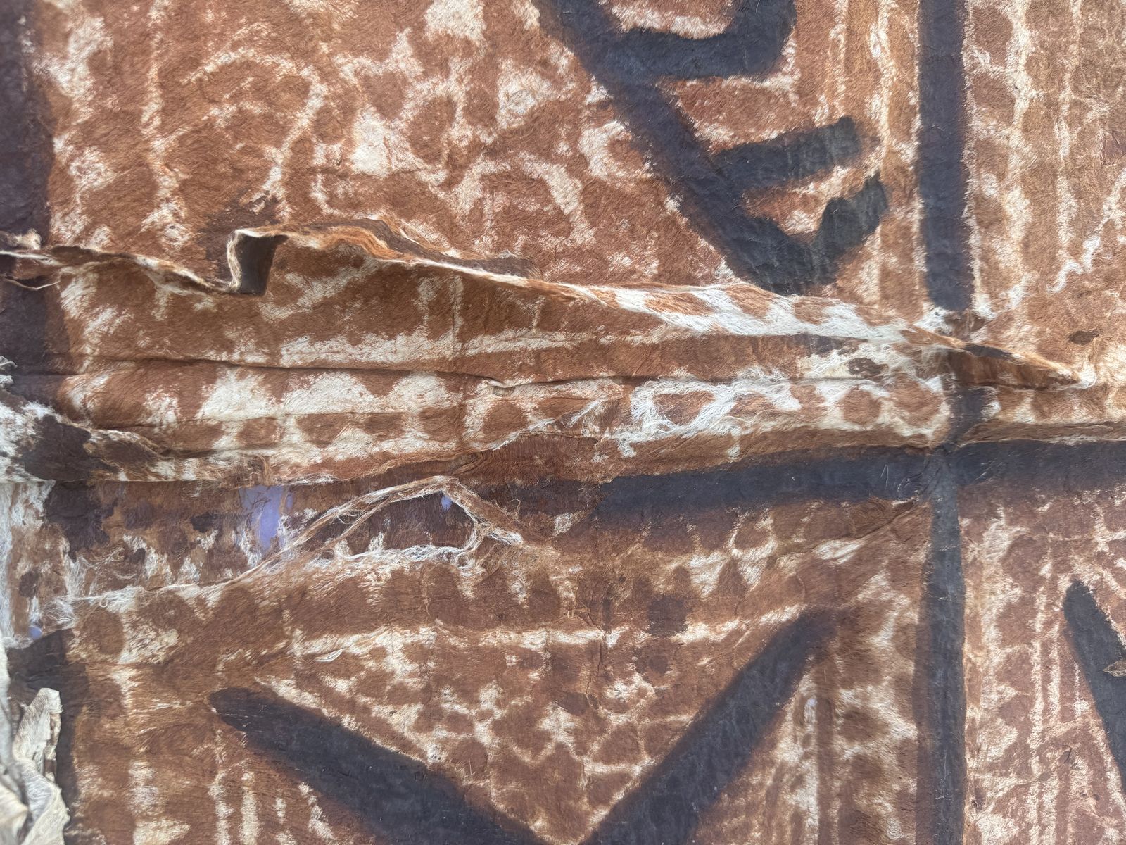 Main image 4