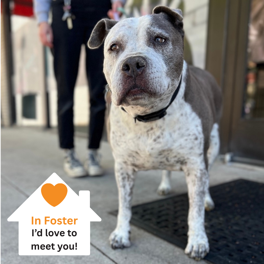 Hello my name is Sally