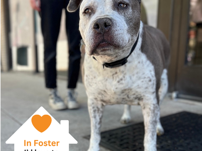 Hello my name is Sally