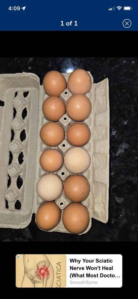 Eggs