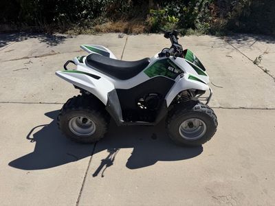 2010 Kawasaki KFX 90