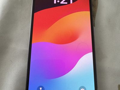 iPhone 13 Pro Max 256GB Unlocked