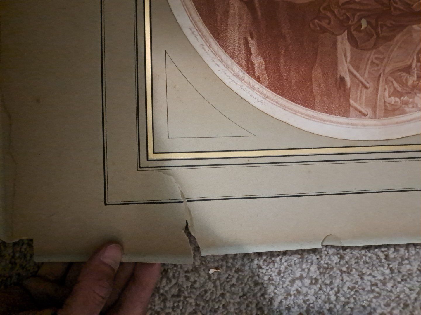 Main image 6