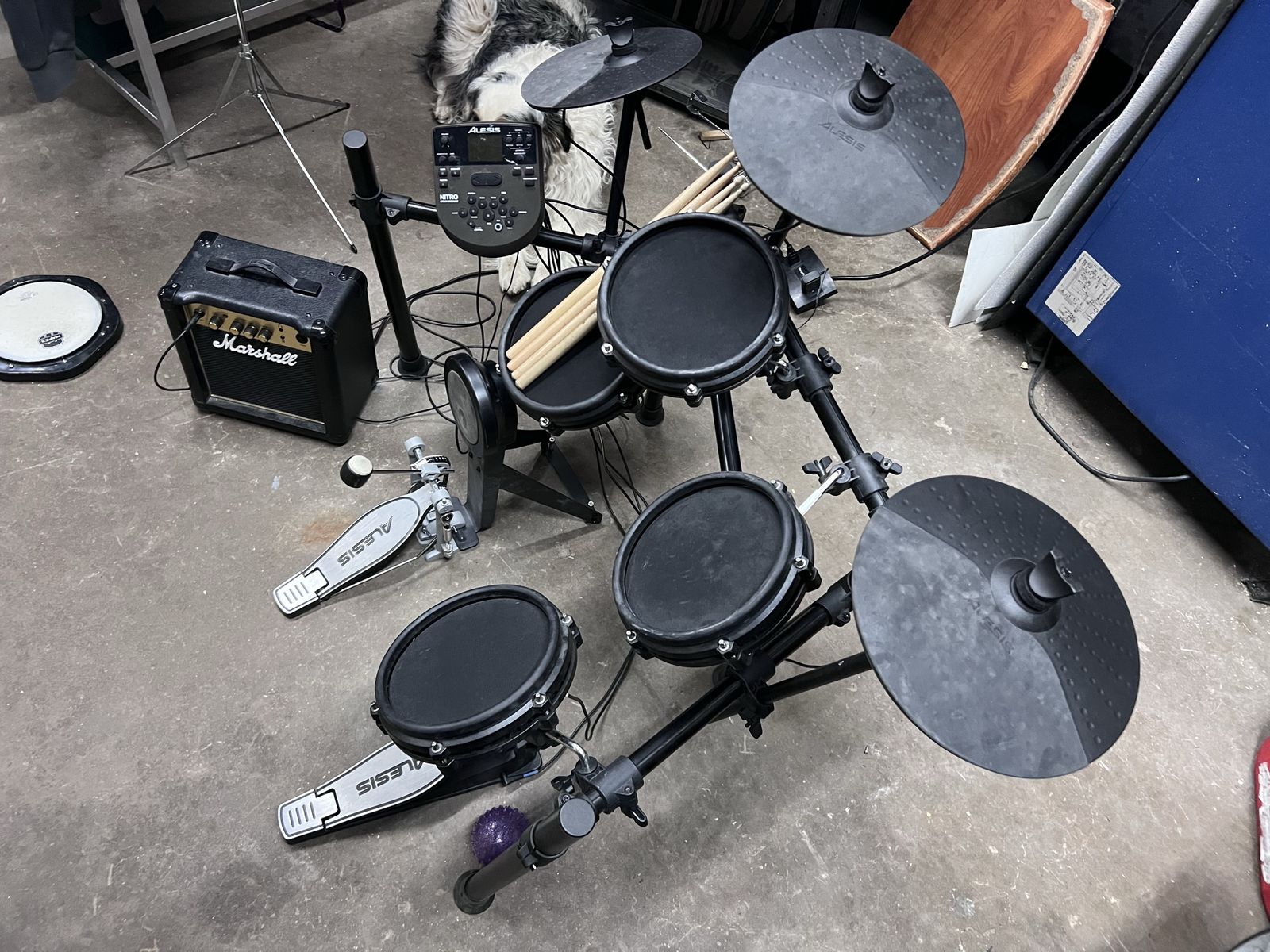 Alesis Nitro Mesh Kit Electronic Drum Set w/ Marshall MG10 Amplifier, Drum Sticks, & Stool