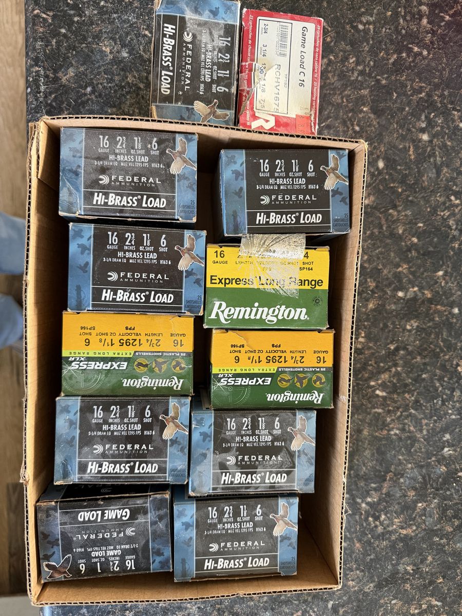 16 gauge ammo
