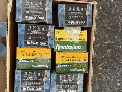 16 gauge ammo