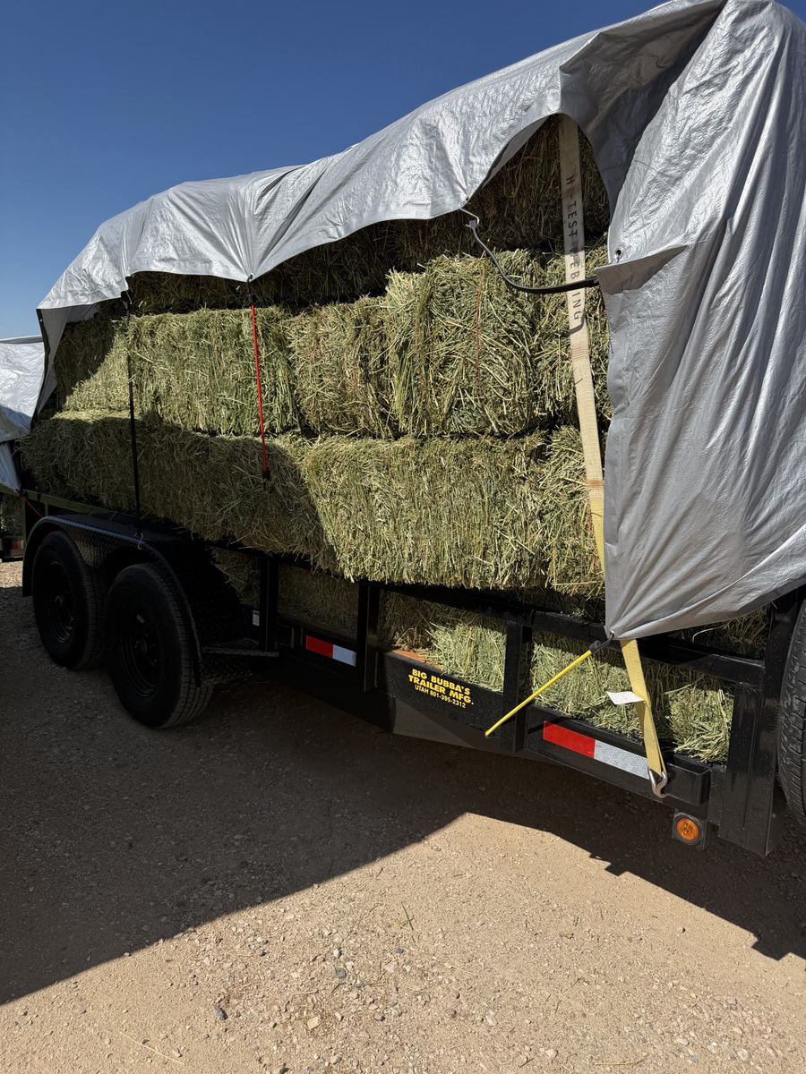 alfalfa hay small bales $10