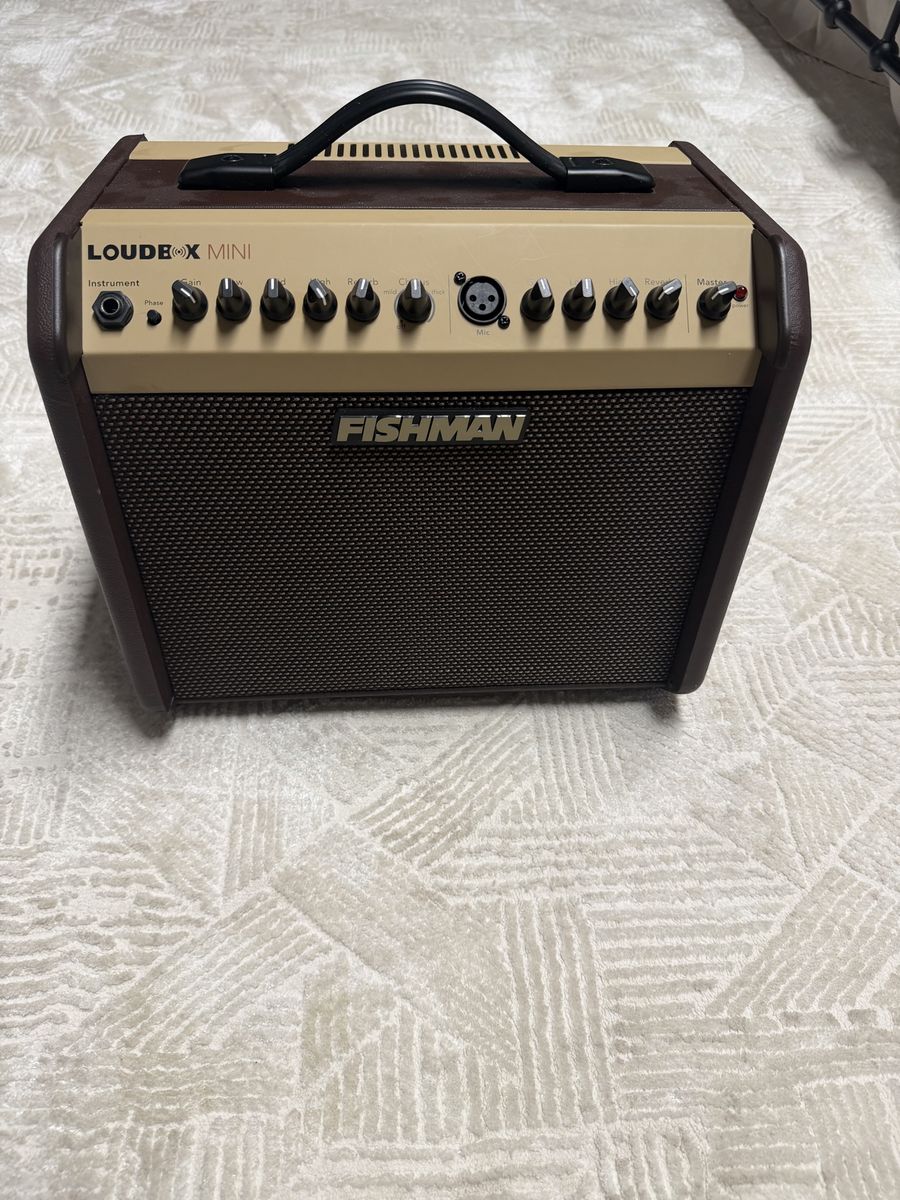 Fishman Loudbox Mini Acoustic Guitar Amplifier – Excellent Condition + Power Cord Included