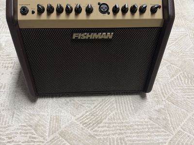 Fishman Loudbox Mini Acoustic Guitar Amplifier – Excellent Condition + Power Cord Included