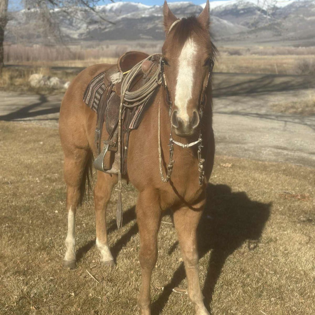 Perer AKA HeS So Phil!