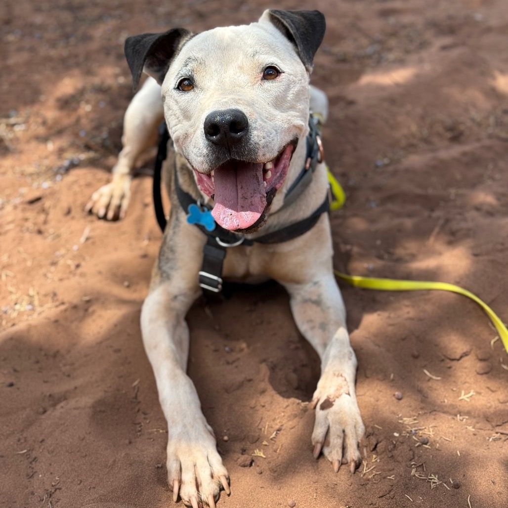 Hello my name is Rudy