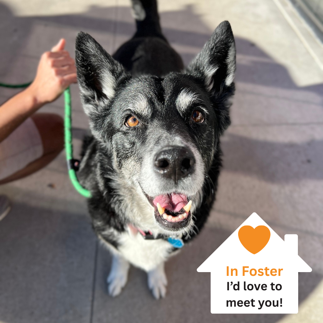 Hello my name is Tonita