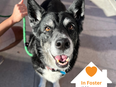 Hello my name is Tonita