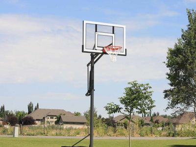 Lifetime Basketball Hoop