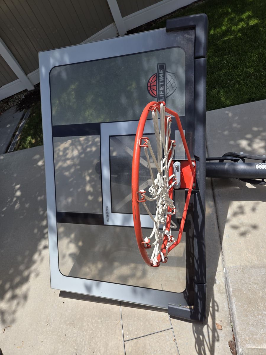 Lifetime Basketball hoop