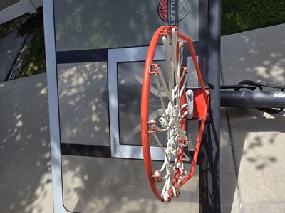 Lifetime Basketball hoop