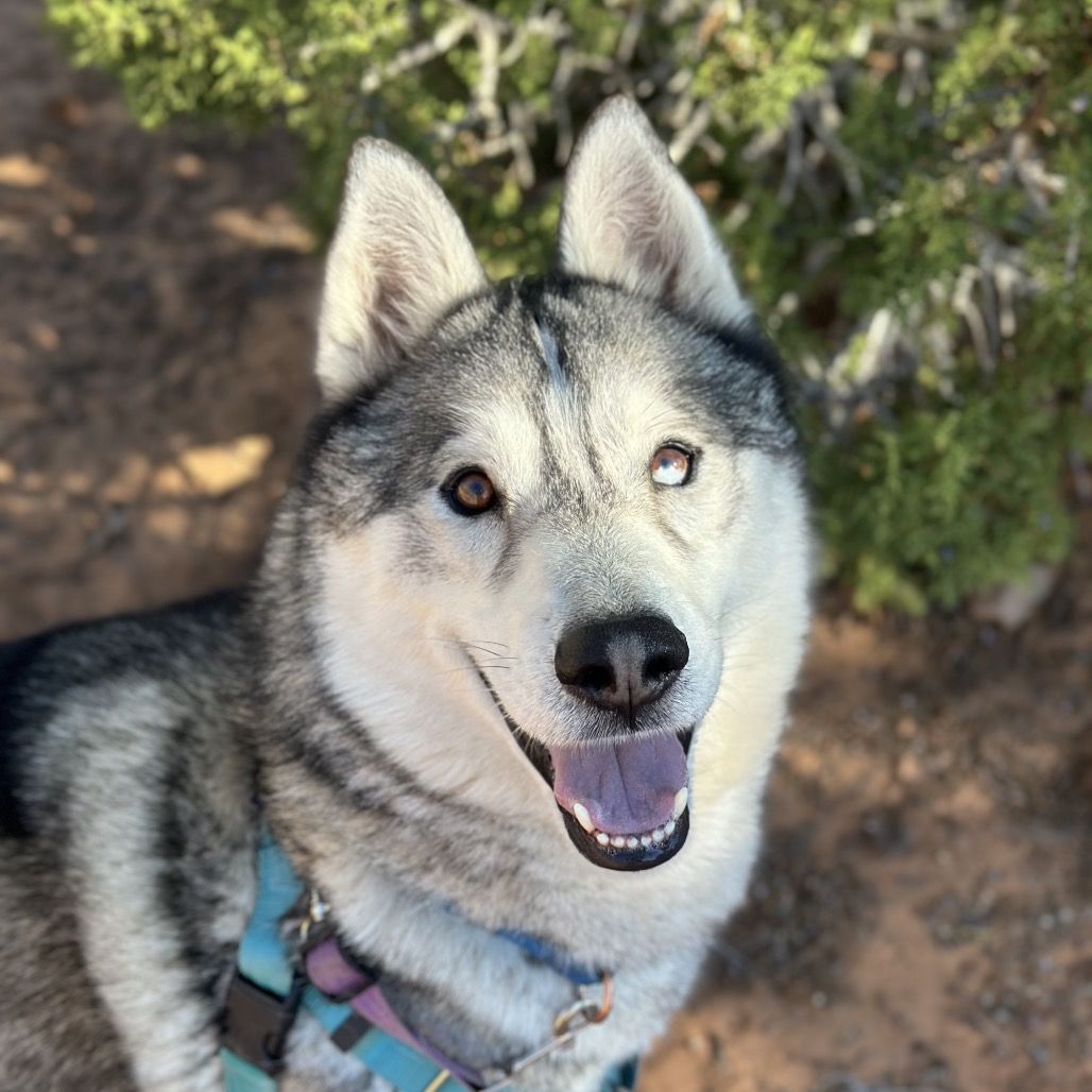 Hello my name is Cecil