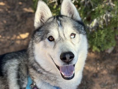 Hello my name is Cecil