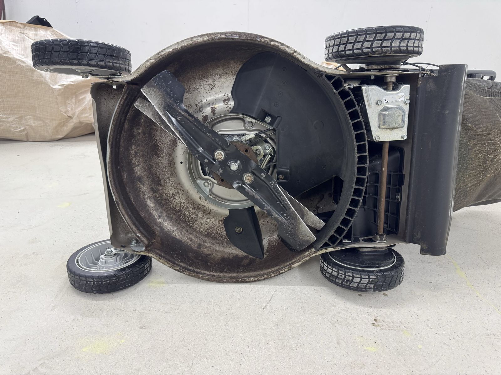 Main image 6