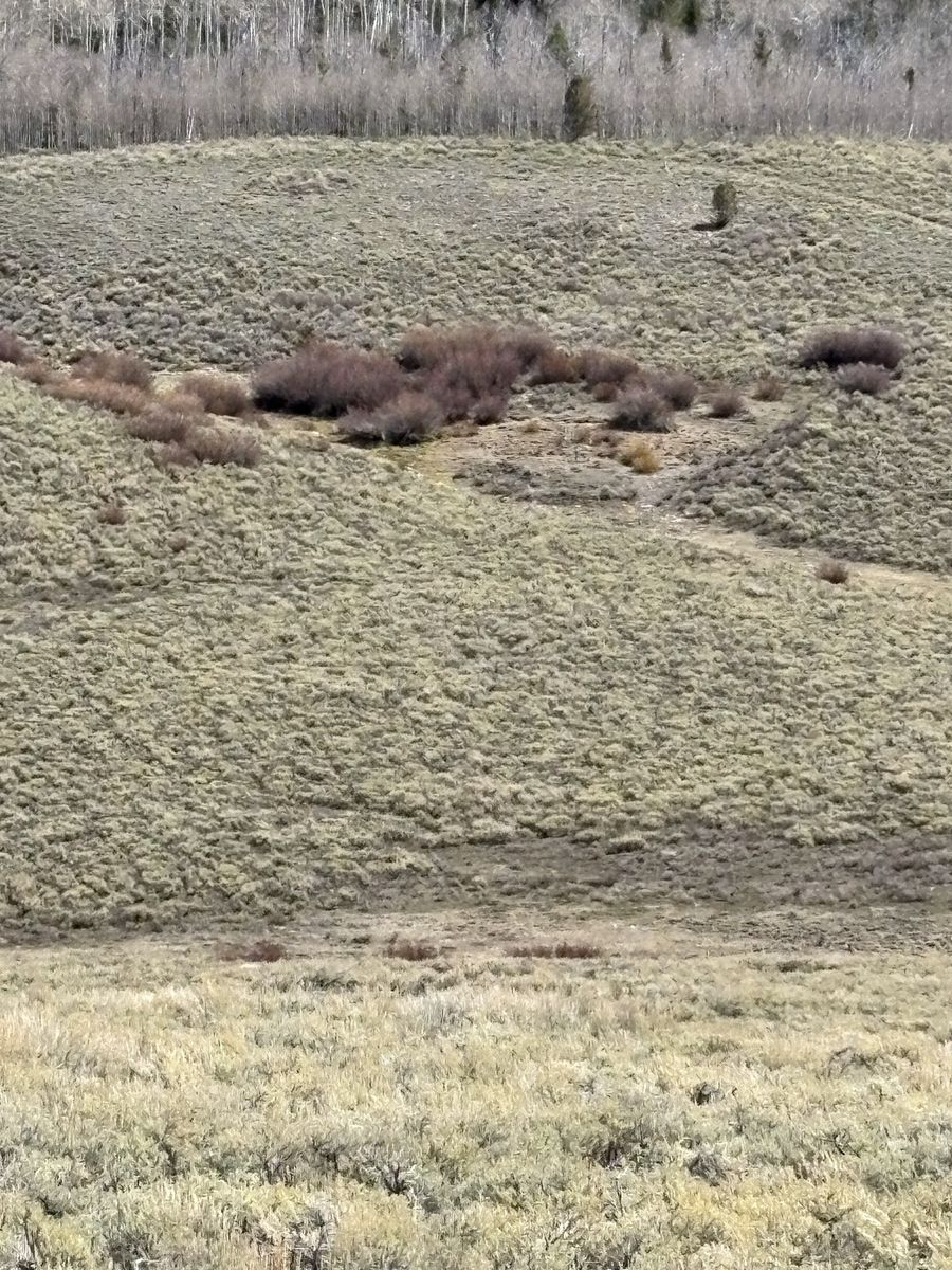 Main image 9