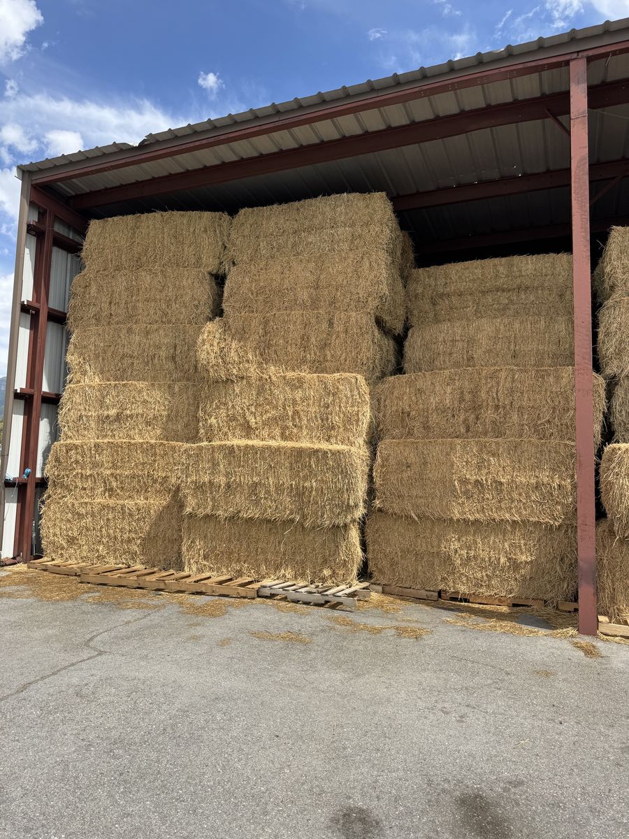 Hay for Sale