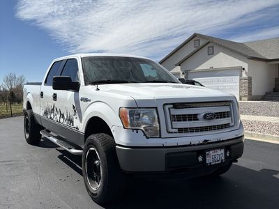 2013 FORD F150 XL