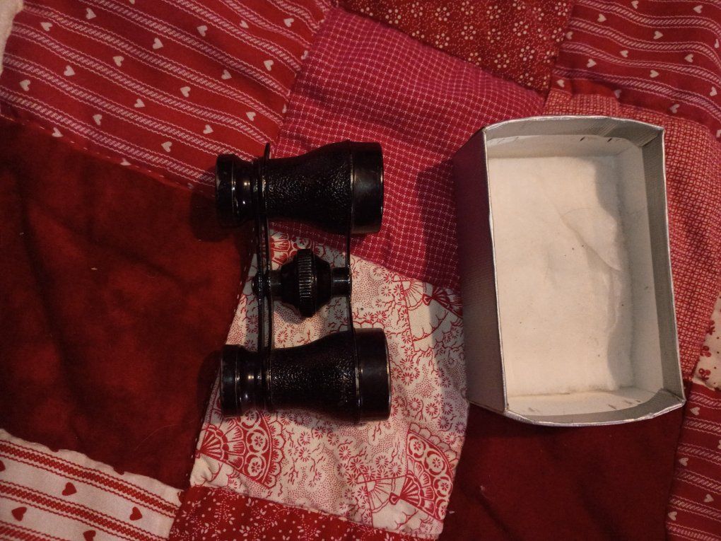 Vintage Opera Glasses Binoculars with Original Box