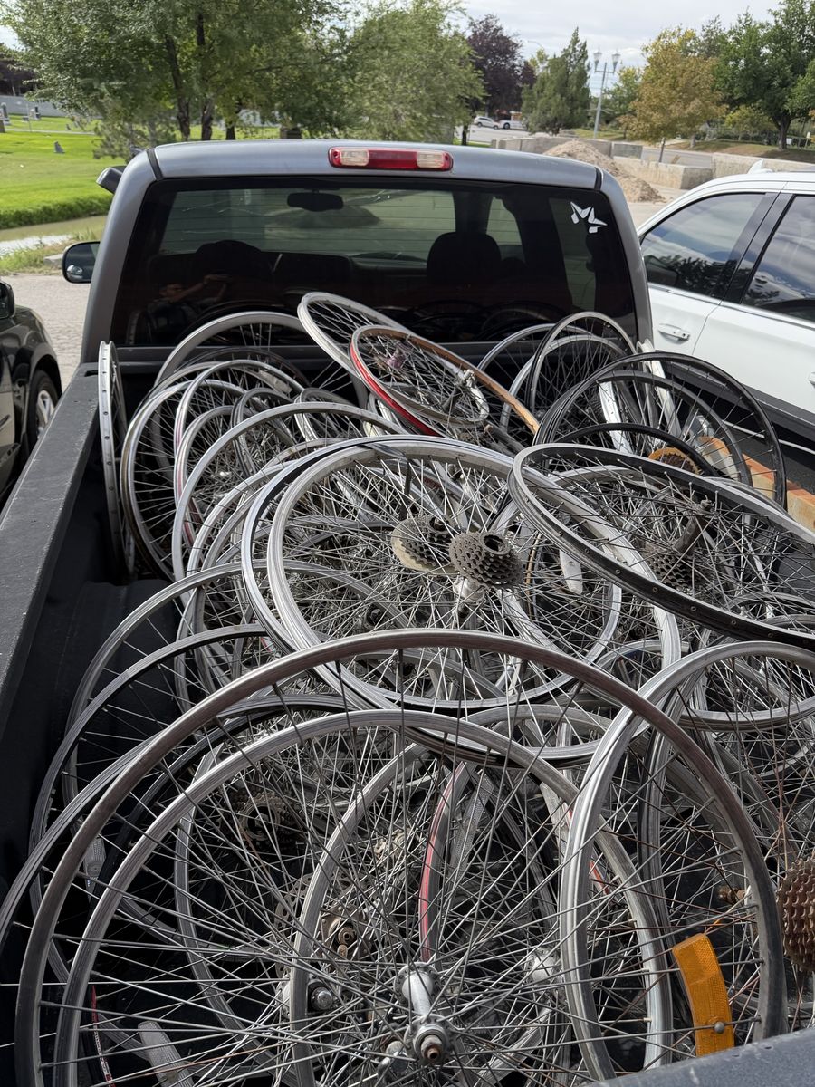 Bike rims