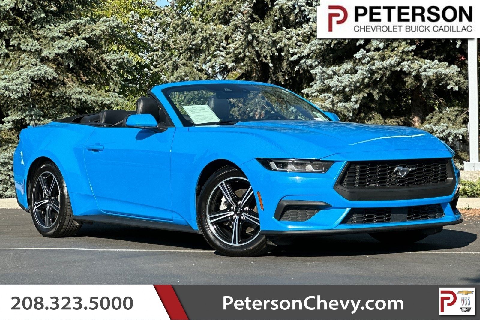 2024 FORD MUSTANG EcoBoost Premium