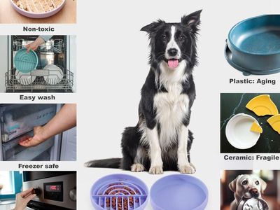 Slow Feeder Dog Dish and Watering Bowl