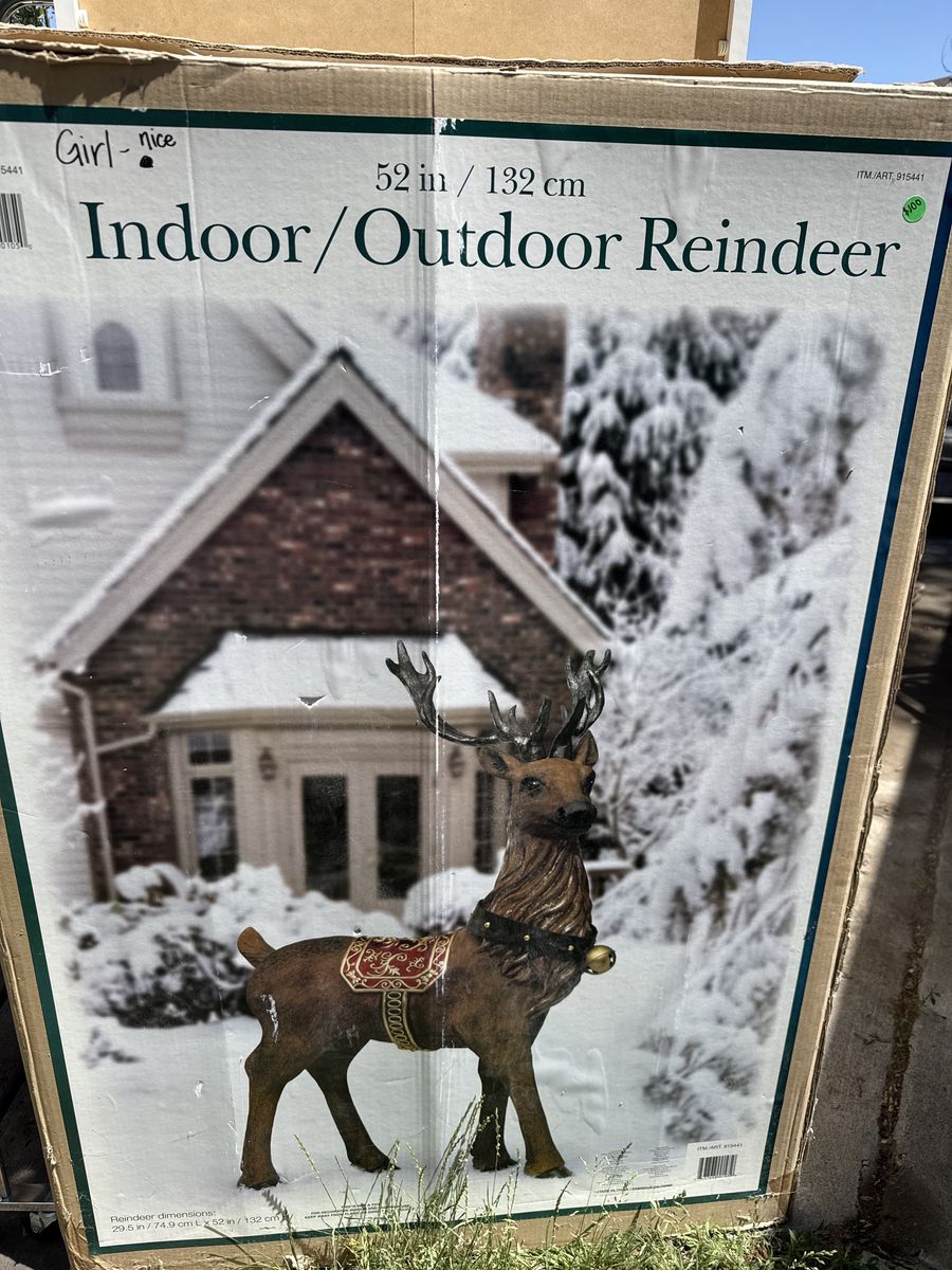 Reindeer