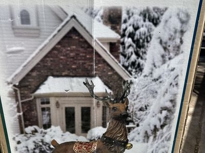 Reindeer