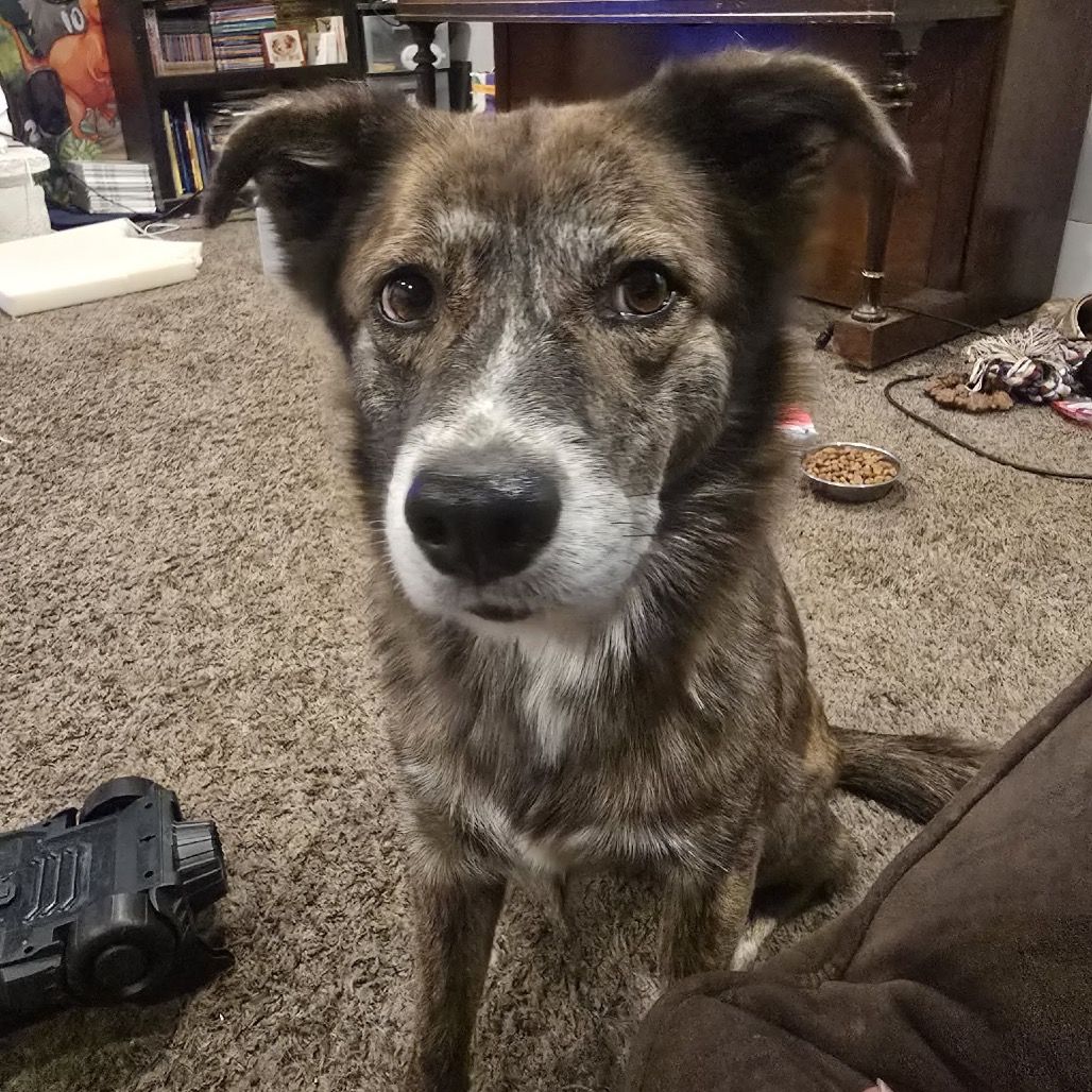 Hello my name is Roxy