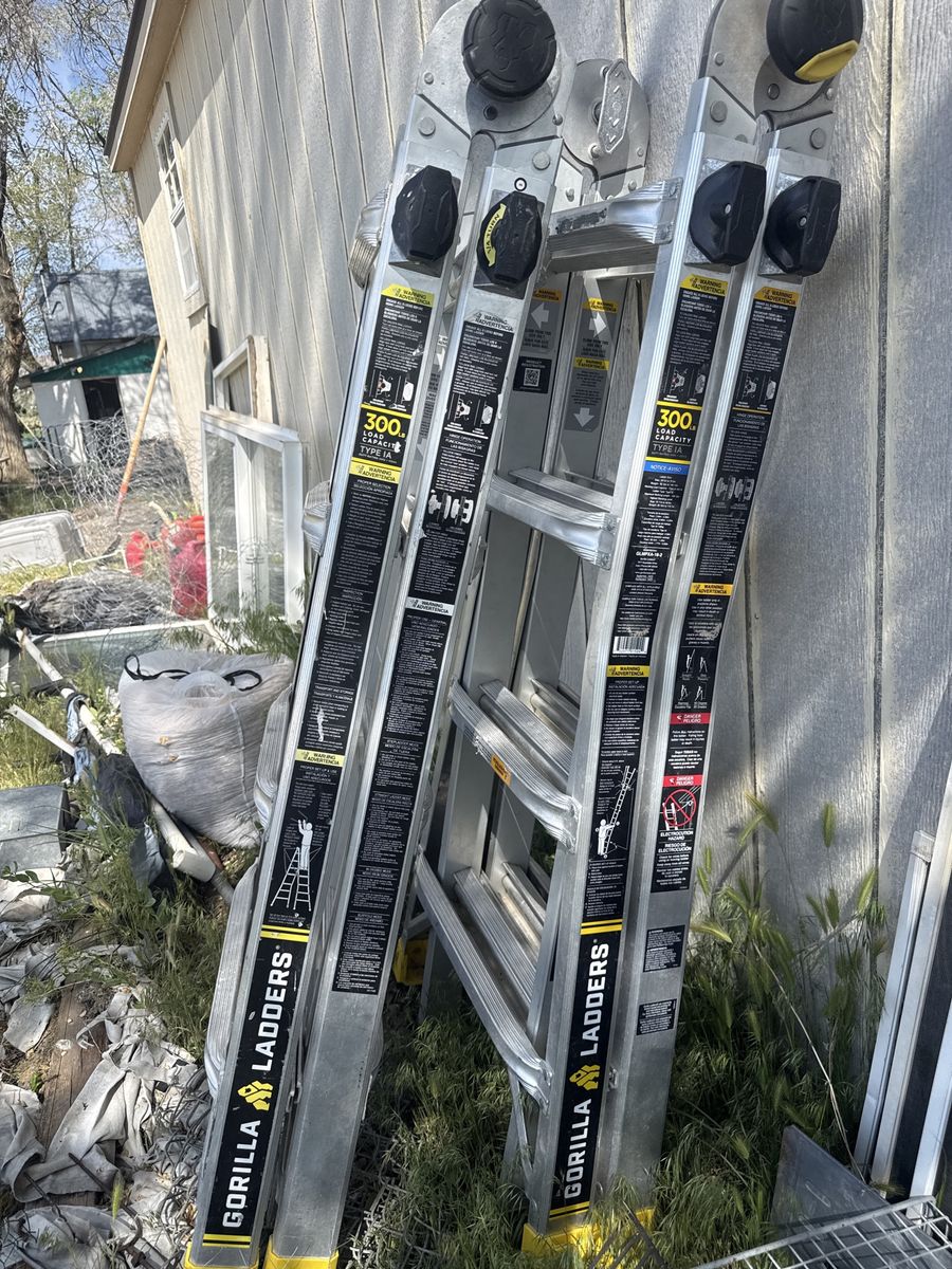 Two gorilla collapsable ladders.