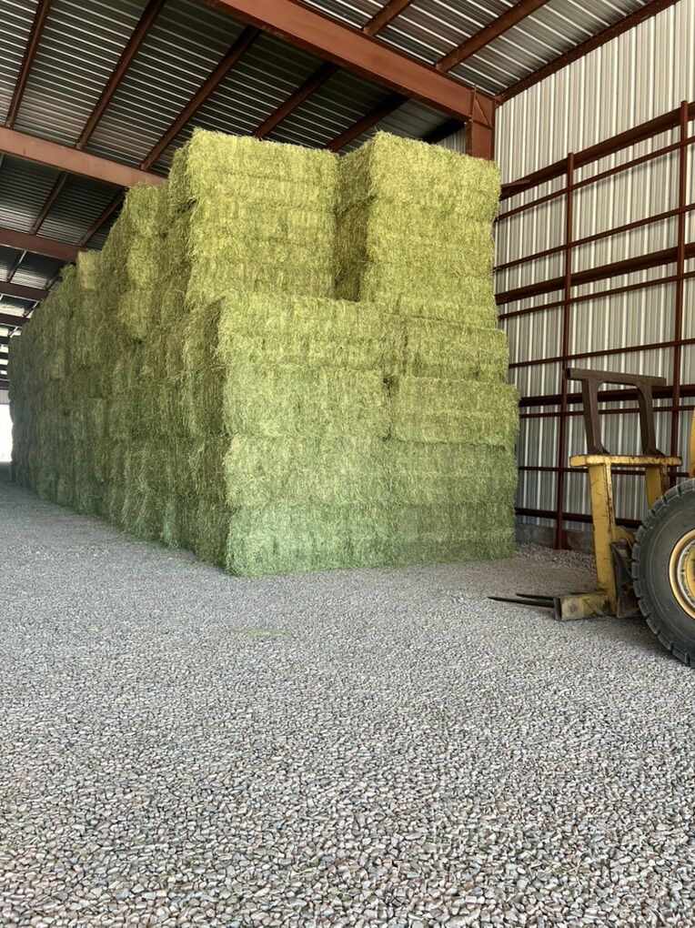 3x4x8 alfalfa bales