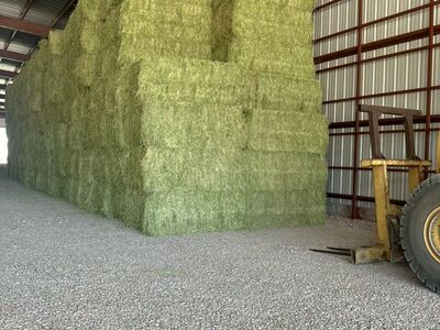 3x4x8 Alfalfa bales