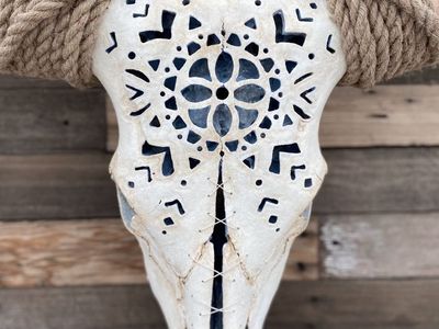 Longhorn skull