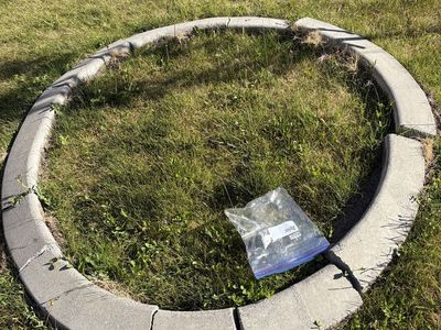 Giant cement ring of fame