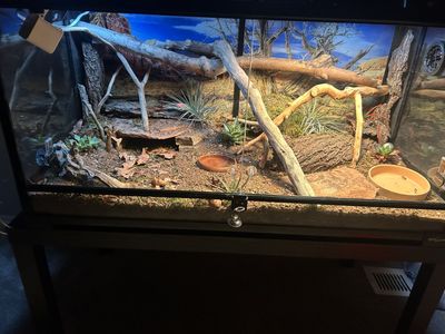 Reptizoo Terrarium