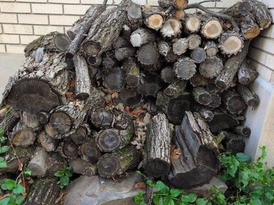 free firewood