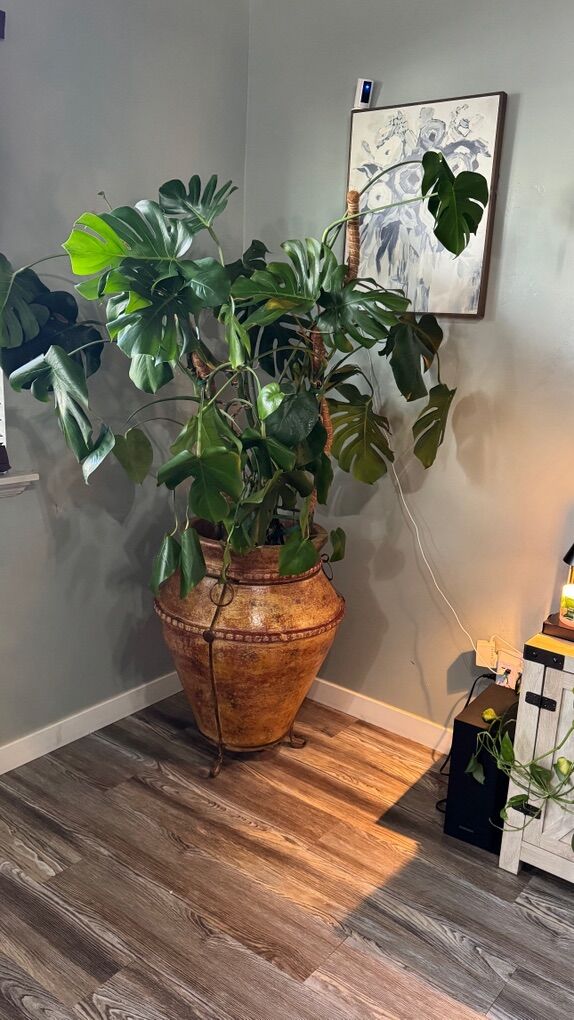 Handcrafted Mexican Clay Planter Pots-From Mexico