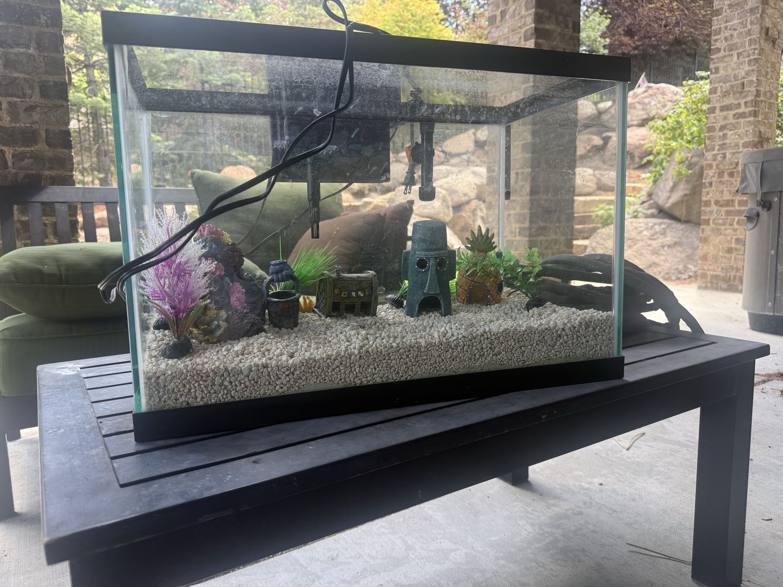 20 gallon aqueon fish tank
