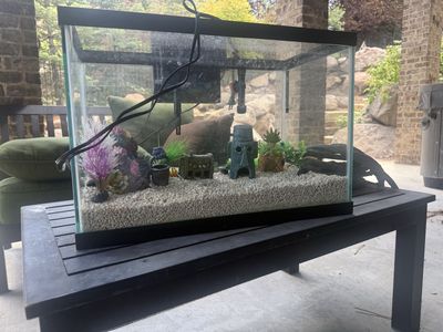 20 gallon aqueon fish tank