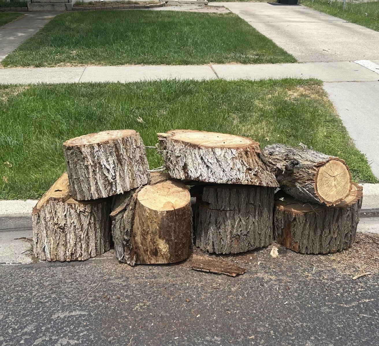 Free dry firewood hardwood