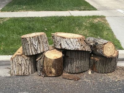 Free dry firewood hardwood
